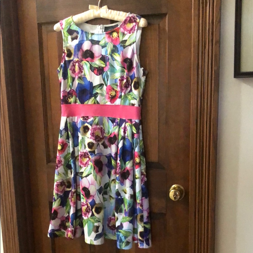 Floral Sleeveless Dress - Pink and Blue